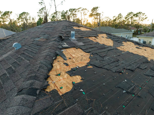 Best Emergency Roof Repair Services  in Jamul, CA